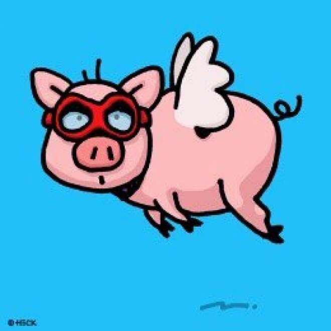 Ed Heck: When Pigs Fly