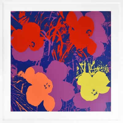 Andy Warhol: Flowers 66
